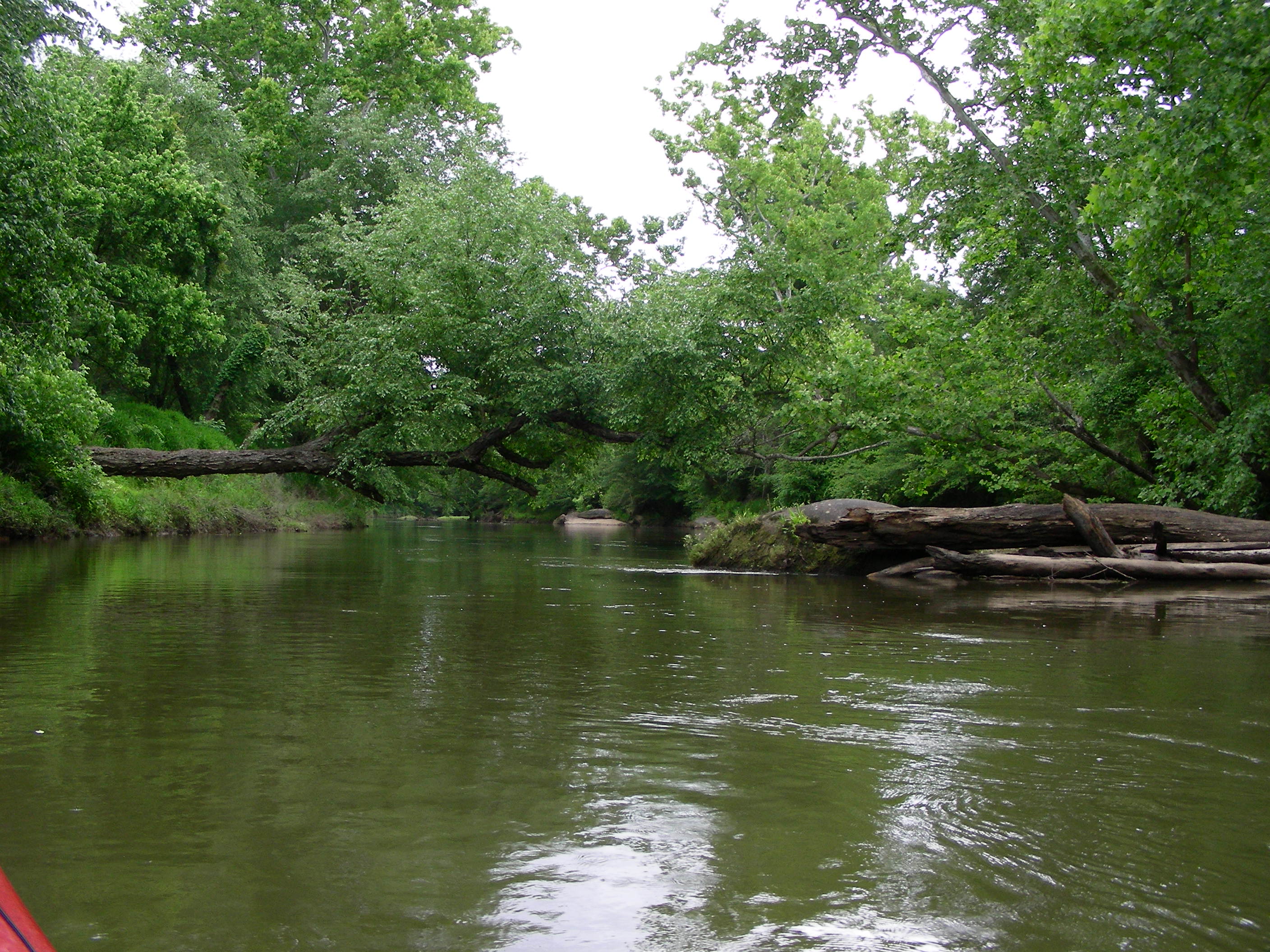 ./2012/Neuse River/DSCN8643.JPG